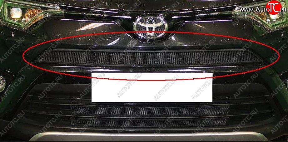 1 469 р. Сетка в решетку радиатора Russtal  Toyota RAV4  XA40 (2015-2019) 5 дв. рестайлинг (черная)  с доставкой в г. Омск