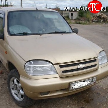 22 449 р. Капот Стандартный  Chevrolet Niva  2123 (2002-2020), Лада 2123 (Нива Шевроле) (2002-2021) (Окрашенная)  с доставкой в г. Омск