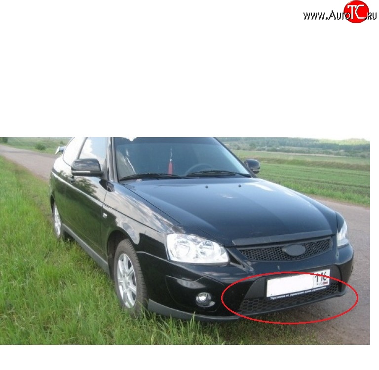 419 р. Решетка бампера 21728 Priora Sport нижняя Лада Приора 2170 седан дорестайлинг (2007-2014)  с доставкой в г. Омск